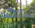 260205173017-hutan.jpeg