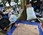 260508143646-penan.jpeg