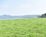 260616164126-waduk.jpg