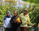 260705204114-panen.jpg