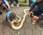 260803162750-komun.jpeg