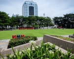 260814162802-pesta.jpeg
