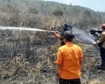 260916164931-kawas.jpg