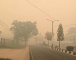261025114340-tersi.jpg